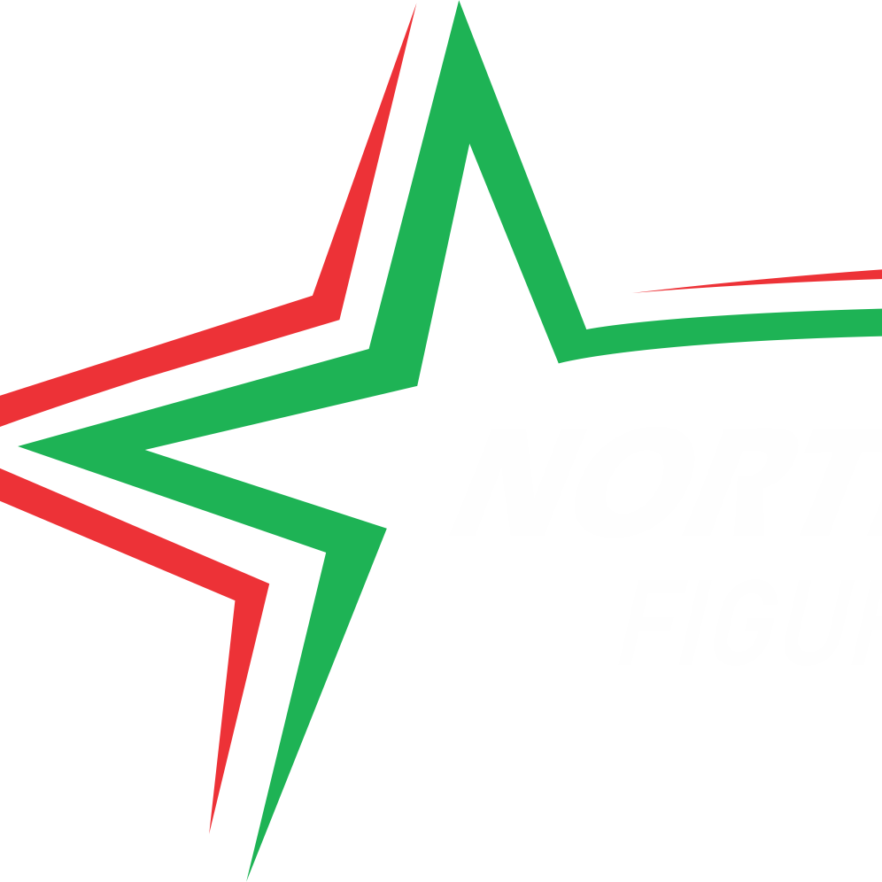 Northern Lights logo