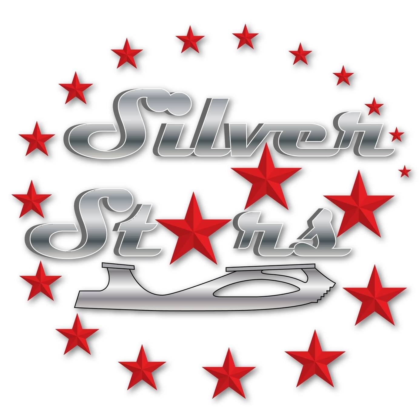 Utah Silver Stars logo